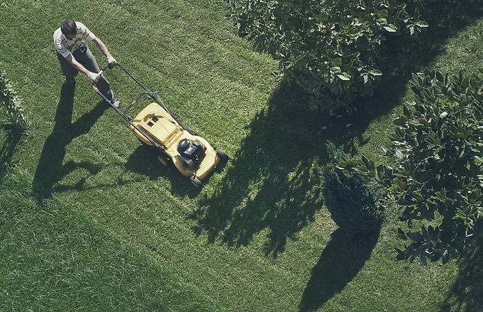 mowing_cf9bd0aecf